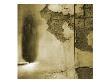 Rock & Tree Ii by Miguel Paredes Limited Edition Pricing Art Print