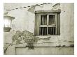Window by Miguel Paredes Limited Edition Print