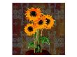 Three Sunflowers Ii by Miguel Paredes Limited Edition Print