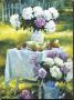 Peonies & Cantaloupe by Don Ricks Limited Edition Print
