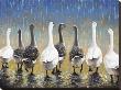 Waddling In The Rain by Joe Sambataro Limited Edition Print