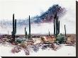 Desert Monsoon Skies by Adin Shade Limited Edition Pricing Art Print
