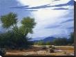 Palo Verde Wash by Ann Mcleod Limited Edition Print