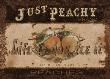 Just Peachy by Sally Ray Cairns Limited Edition Print