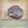 Vintage Fish Iii by Mary Beth Zeitz Limited Edition Print