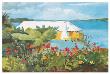 Flower Garden And Bungalow, Bermuda, C.1899 by Winslow Homer Limited Edition Print
