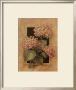 Framed Hydrangea by Barbara Mock Limited Edition Print