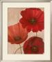 Poppy Trio Ii by Vivian Flasch Limited Edition Print