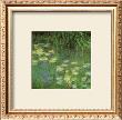 Water Lilies Morning (Detail) by Claude Monet Limited Edition Print