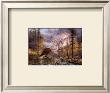 Eagles Perch by Rudi Reichardt Limited Edition Print