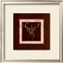 Elk Portrait by Judy Gibson Limited Edition Print