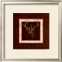 Elk Portrait by Judy Gibson Limited Edition Pricing Art Print