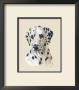 Dalmatian by Judy Gibson Limited Edition Pricing Art Print