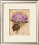 Blooming Hydrangea by Peggy Abrams Limited Edition Pricing Art Print