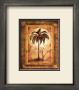 Palm Passage I by Steve Butler Limited Edition Print