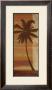 Tropical Sunset Ii by John Zaccheo Limited Edition Print