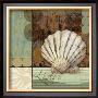 Contemporary Shell I by Paul Brent Limited Edition Pricing Art Print