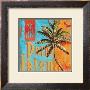 Rojo Palm Ii by Paul Brent Limited Edition Print