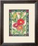 Gerber Daisies by Paul Brent Limited Edition Print