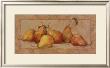 Pear Fresco by Barbara Mock Limited Edition Pricing Art Print