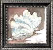 Contemporary Ruffled Clam by Paul Brent Limited Edition Pricing Art Print