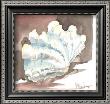 Contemporary Ruffled Clam by Paul Brent Limited Edition Print