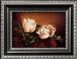 Magnolia Vignette Ll by Fran Di Giacomo Limited Edition Print