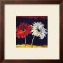 Girls Night Out (Detail) by Nel Whatmore Limited Edition Print