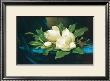 Giant Magnolias On Blue Velvet Cloth by Martin Johnson Heade Limited Edition Pricing Art Print