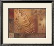 Modern Fern Ii by Vivian Flasch Limited Edition Print