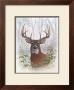 Deer Buck Portrait by Ron Jenkins Limited Edition Print