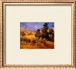 Southern Vineyard Hills by Philip Craig Limited Edition Print