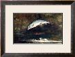Jumping Trout by Winslow Homer Limited Edition Pricing Art Print