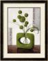 Arrangement In Green Ii by Karsten Kirchner Limited Edition Print