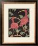 Scarlet Ibis I by Dan Goad Limited Edition Print