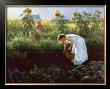 Under The Sunflowers by Robert Duncan Limited Edition Print