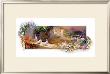 Peaceful Yard by Willem Haenraets Limited Edition Print