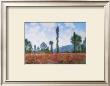 Champs De Coquelicots by Claude Monet Limited Edition Print