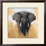 Elephant by David Shepherd Limited Edition Pricing Art Print