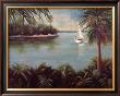 Palmetto Cove by Barbara Shipman Limited Edition Print