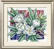 Magnolia Virginana by Paul Brent Limited Edition Pricing Art Print