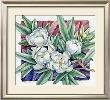 Magnolia Virginana by Paul Brent Limited Edition Print