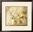 Magnolia Branches by Thea Schrack Limited Edition Pricing Art Print