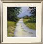 Quiet Backroad by Robert Striffolino Limited Edition Pricing Art Print