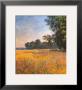 Oat Fields by Claude Monet Limited Edition Print