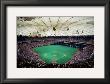 Metrodome, Minneapolis by Ira Rosen Limited Edition Pricing Art Print