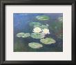 Water Lilies, Effects At The Evening by Claude Monet Limited Edition Print