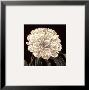 Full Bloom Ii by Keith Mallett Limited Edition Print