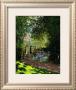 The Parc Monceau by Claude Monet Limited Edition Print