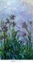 Iris Mauves by Claude Monet Limited Edition Pricing Art Print